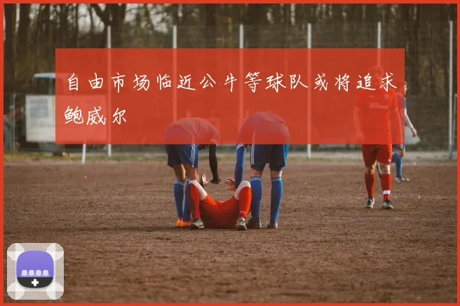 自由市场临近公牛等球队或将追求鲍威尔