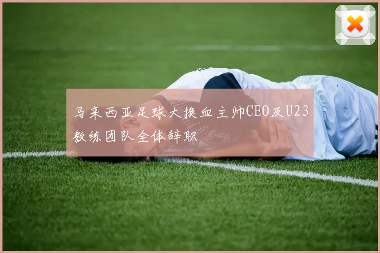 马来西亚足球大换血主帅CEO及U23教练团队全体辞职